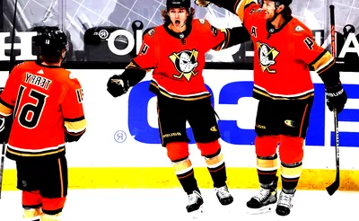 Anaheim Ducks